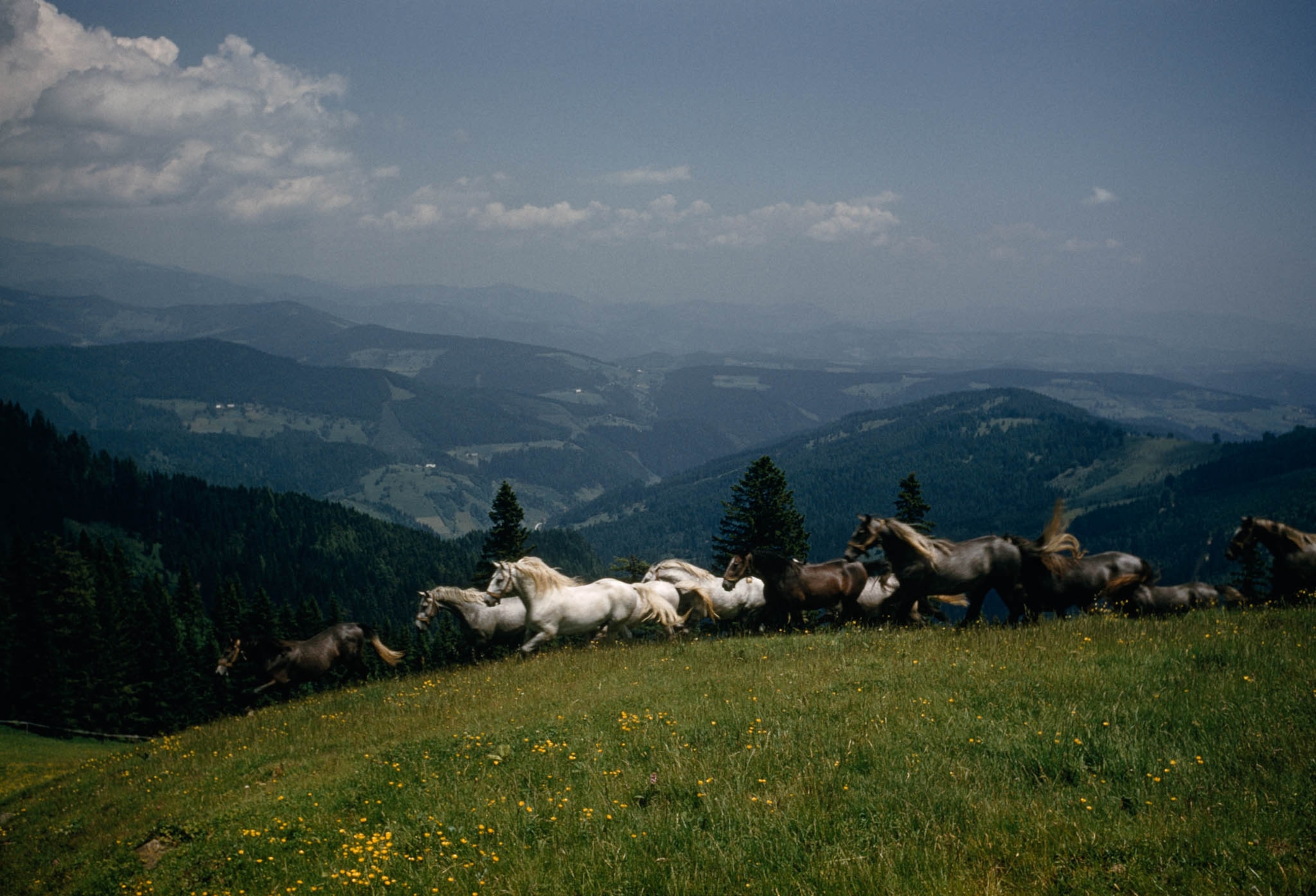 POD-26-04-2021_NationalGeographic_948435.jpg