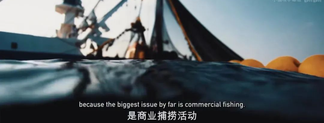 41.png