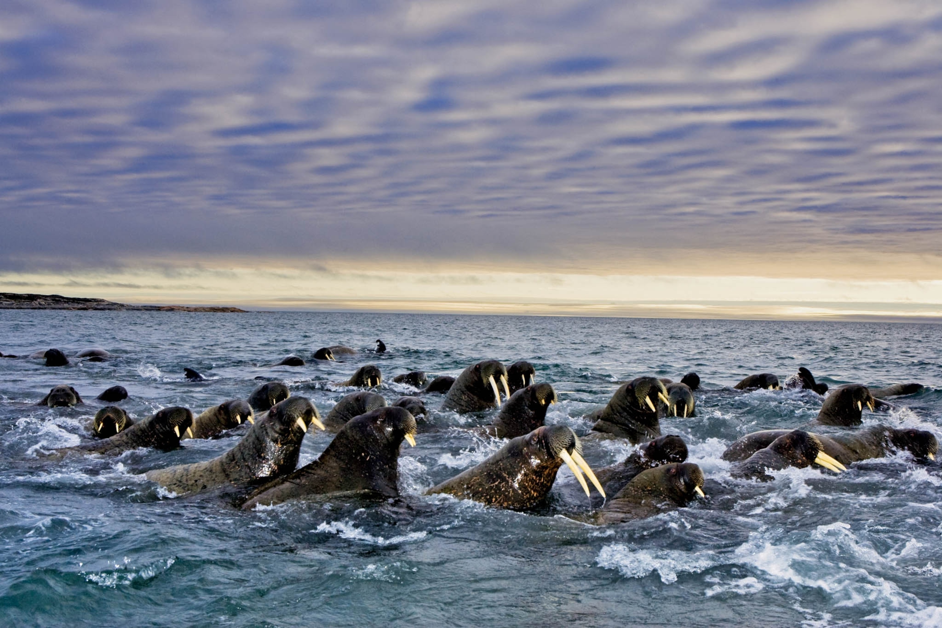 POD-27-04-2021_NationalGeographic_1205964.jpg