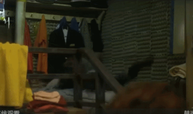 29.gif