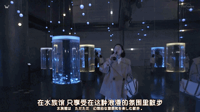 12.gif