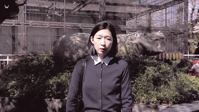 22.gif