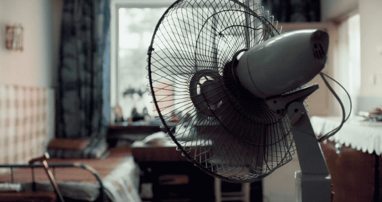 12.gif