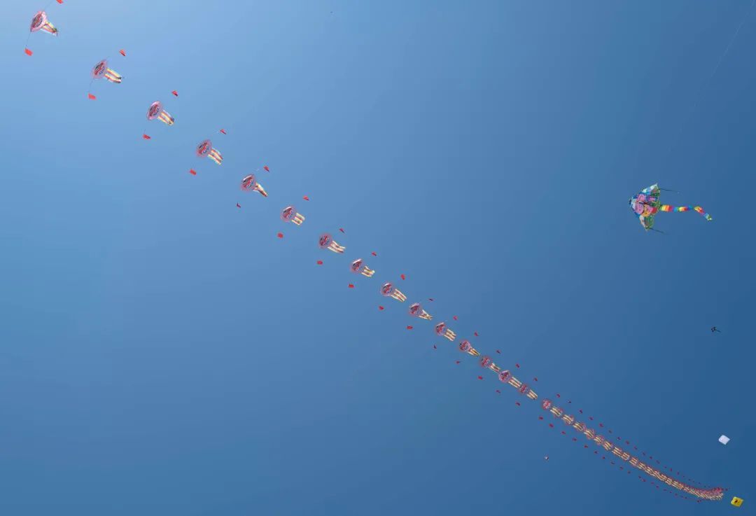 66.jpg