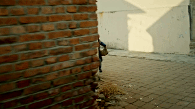 17.gif