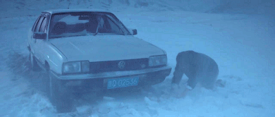 70.gif