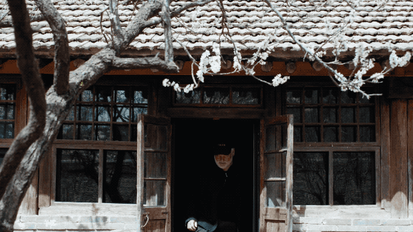 7.gif