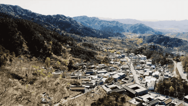 6.gif