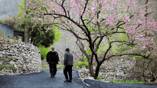 10.gif