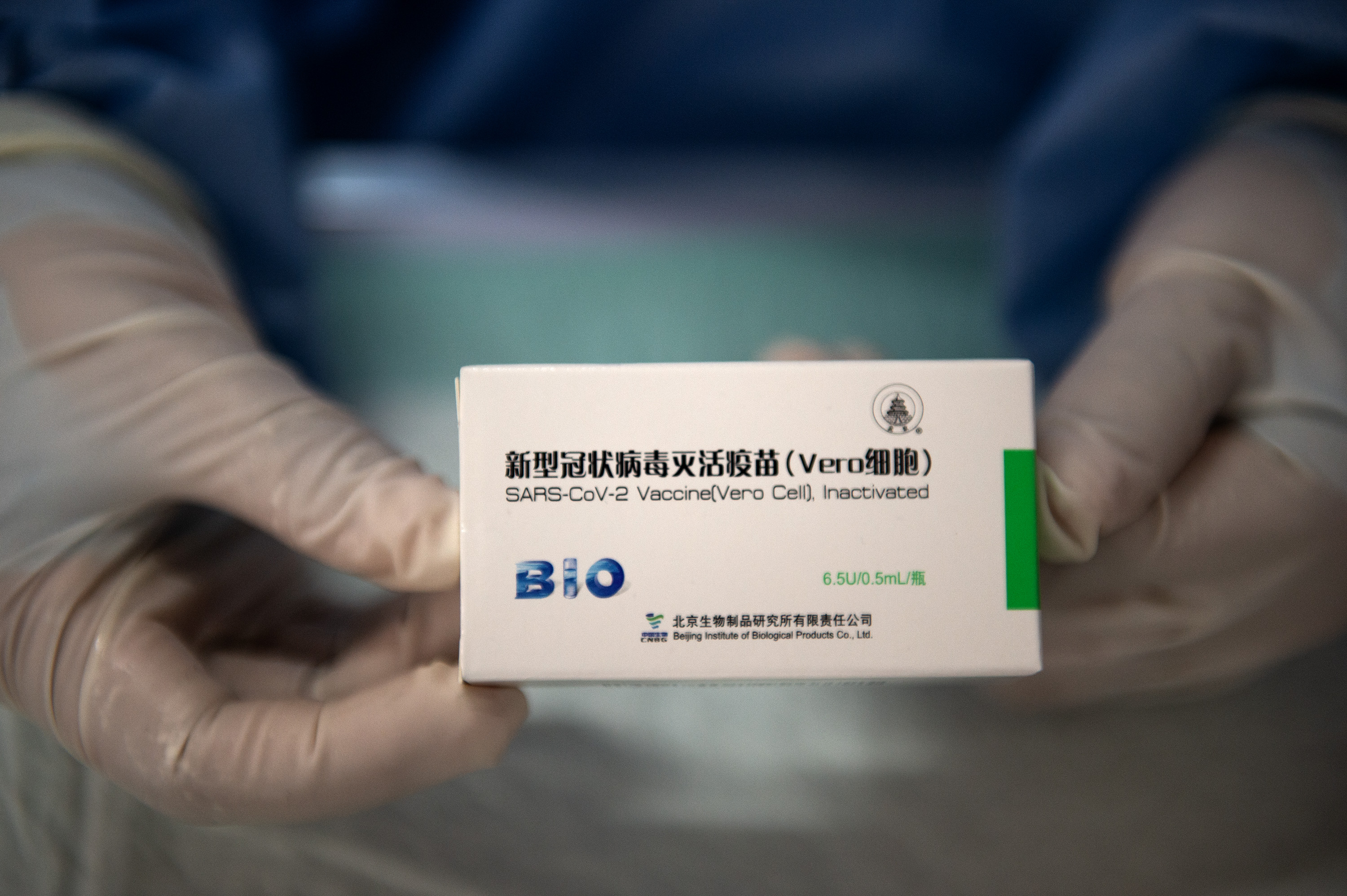 b206.jpg