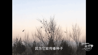 16.gif