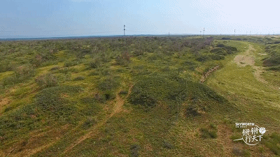 28.gif