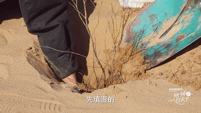 29.gif