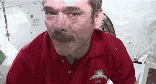 Z98.gif