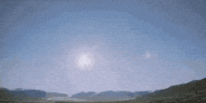 Z95.gif