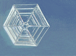 Z94.gif