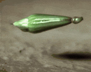 Z88.gif