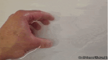 Z102.gif