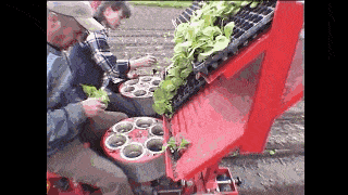 Z114.gif