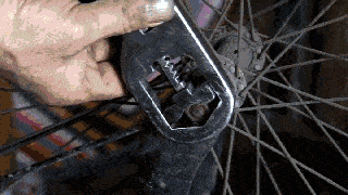 Z118.gif
