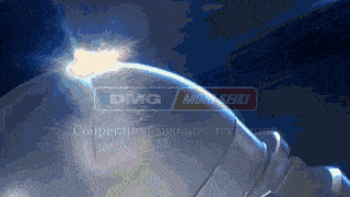Z119.gif