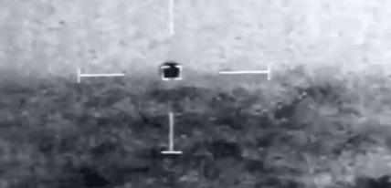 z194.jpg