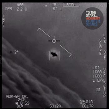 z197.jpg