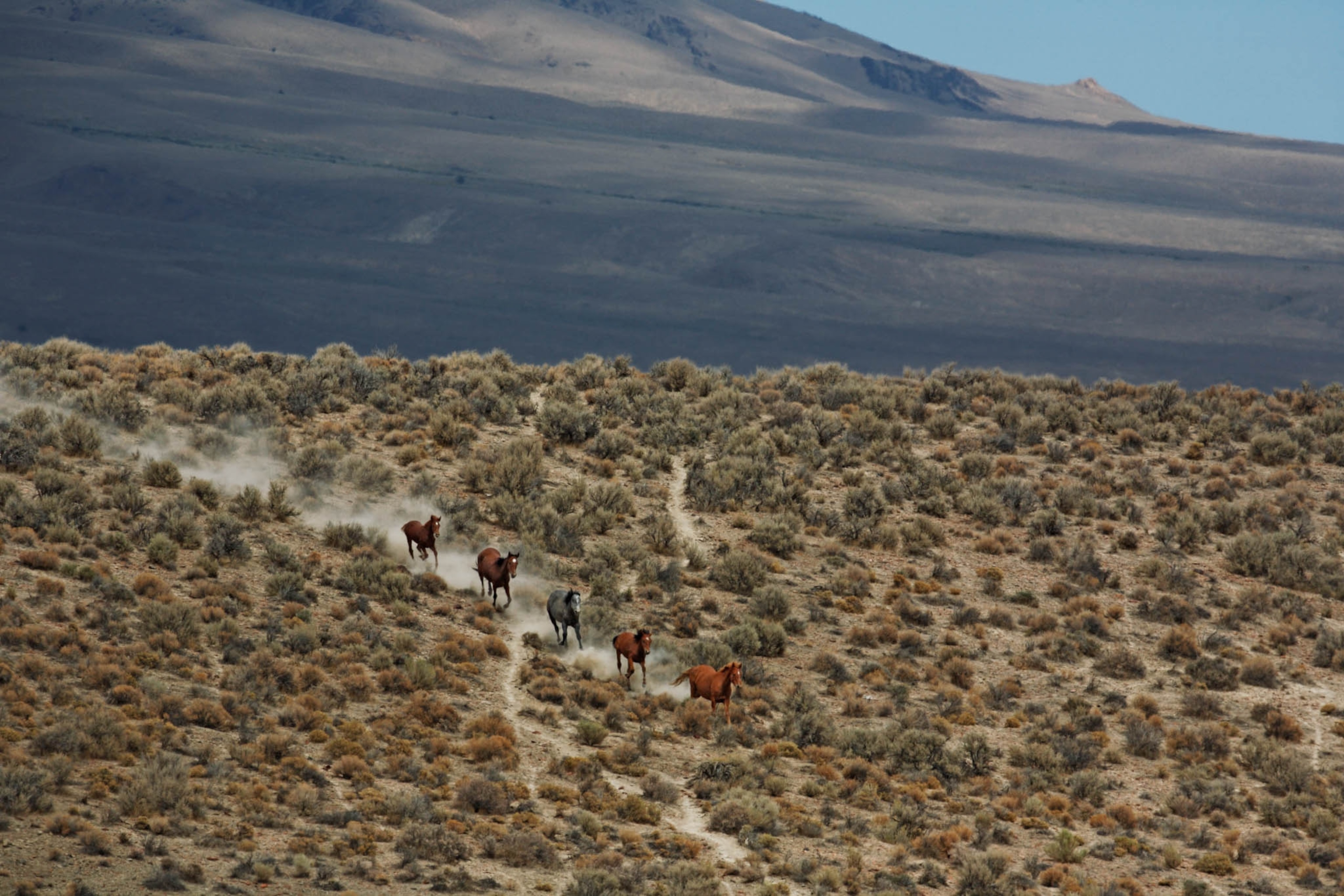 POD-05-06-2021_NationalGeographic_1200521.jpg