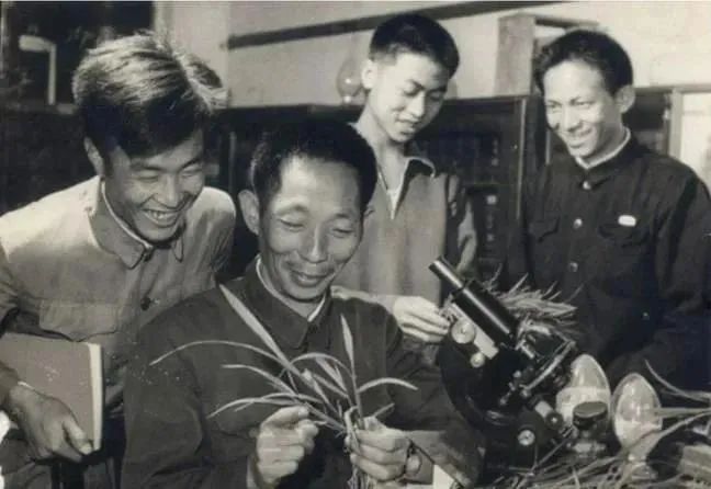 38.jpg
