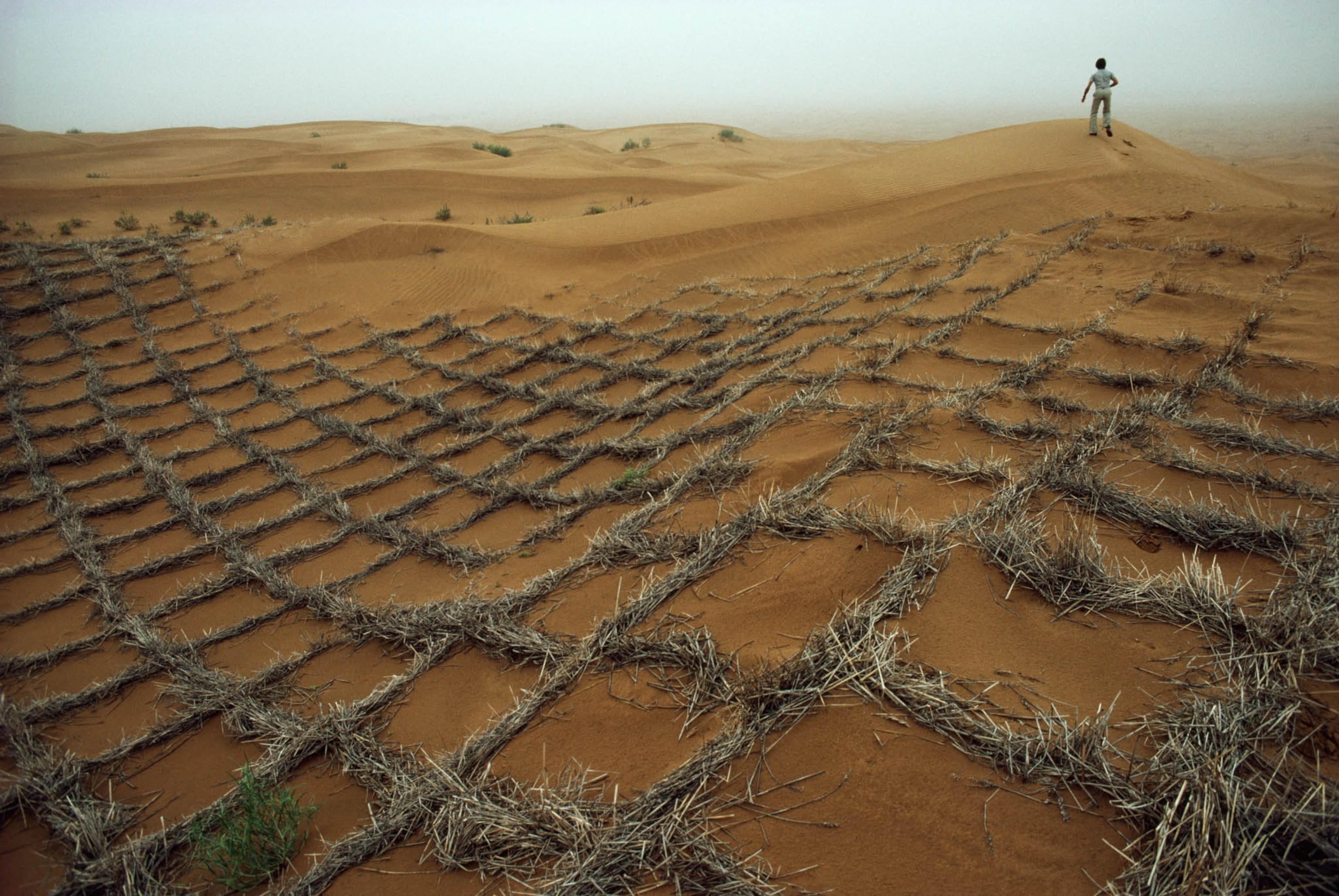 POD-17-06-2021_NationalGeographic_302838.jpg