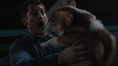 7.gif