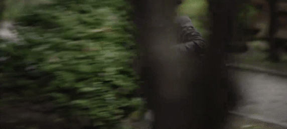 55.gif