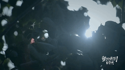 50.gif