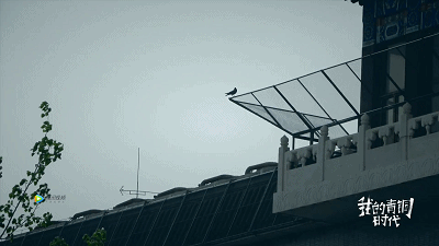 56.gif