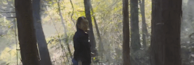 22.gif