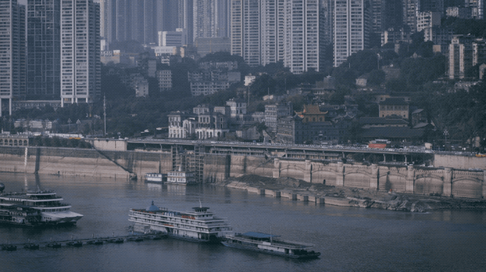 IMG_7686.GIF