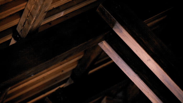 IMG_7693.GIF