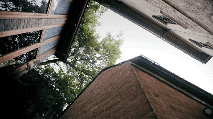 IMG_7703.GIF