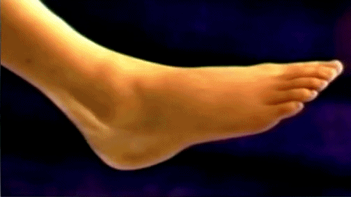 b747.gif