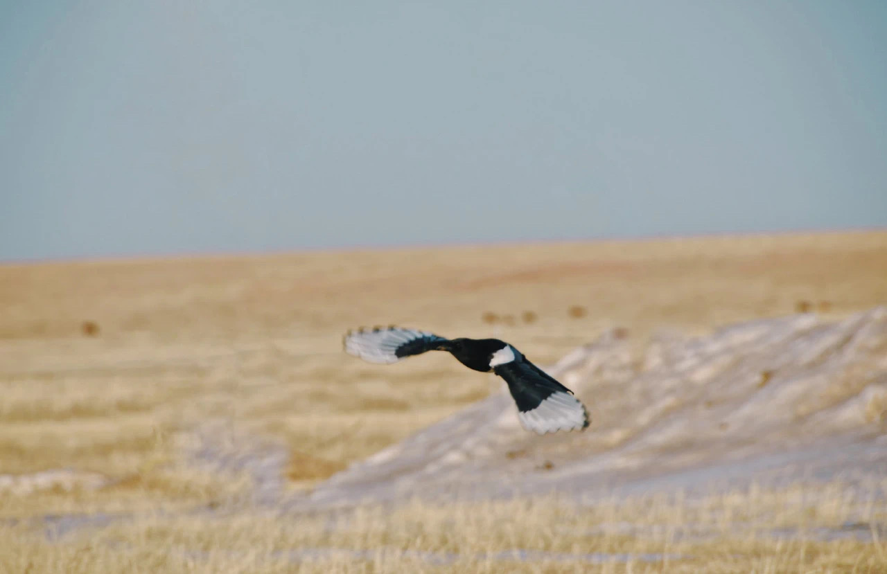 IMG_5553.JPG