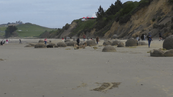 a501.gif
