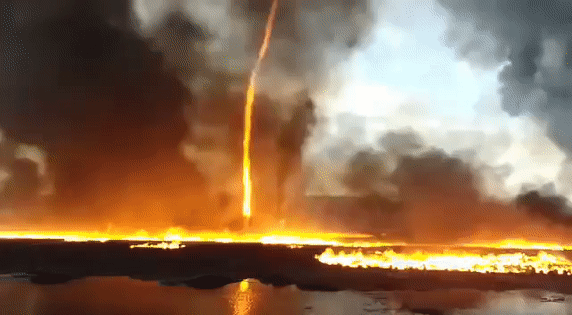 a506.gif