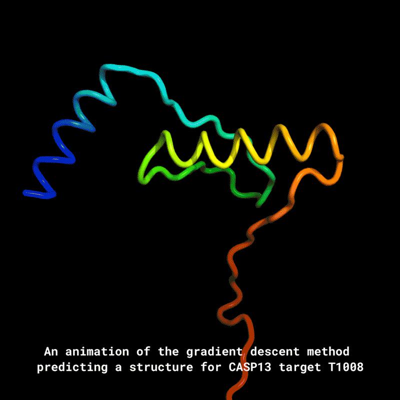 c6.jpg