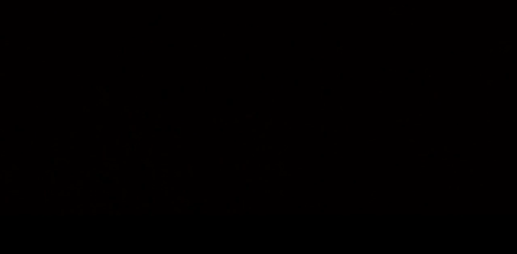 IMG_8330.GIF