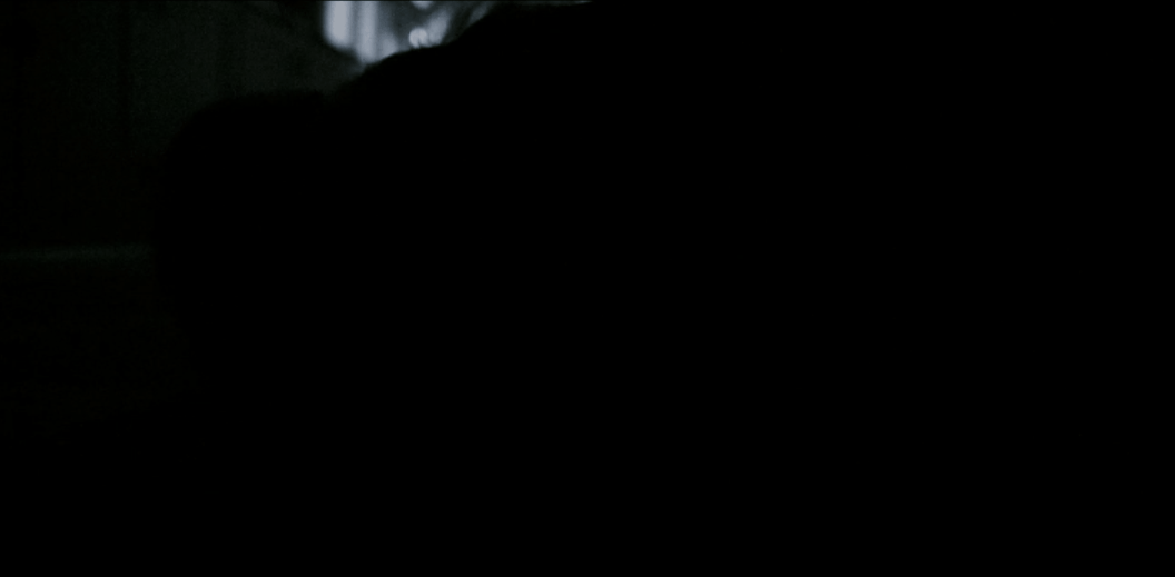 IMG_8336.GIF
