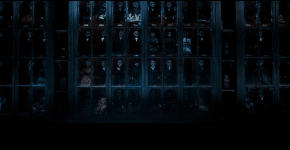 IMG_8339.GIF