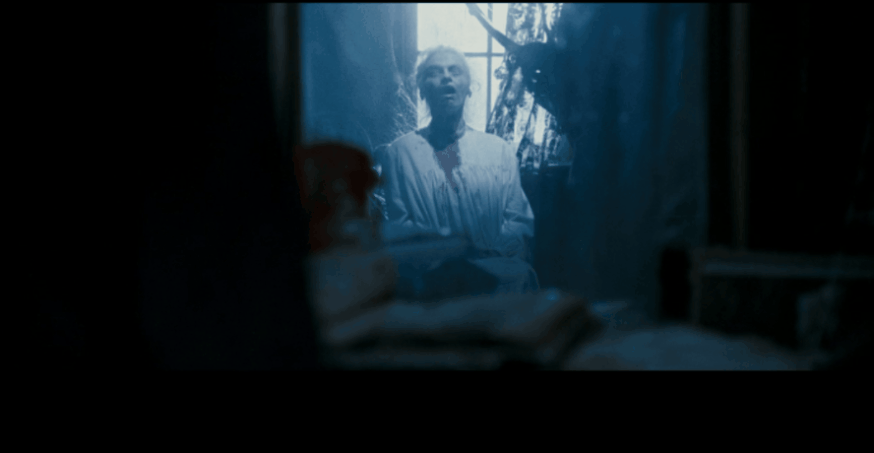 IMG_8349.GIF