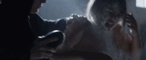 IMG_8416.GIF