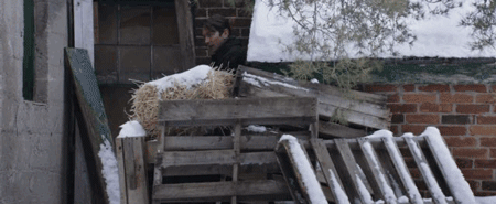 IMG_8453.GIF