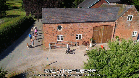 IMG_8457.GIF